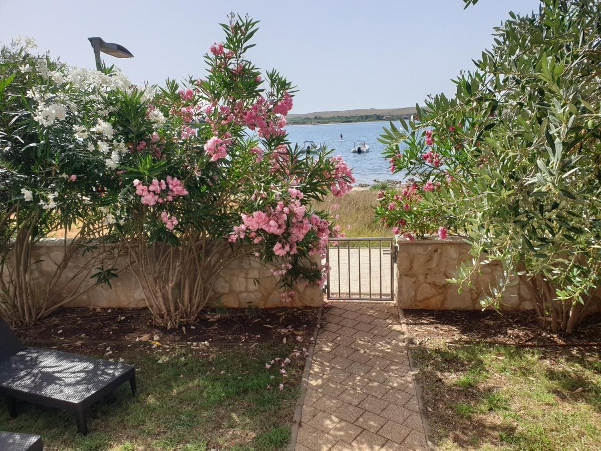 Summertime Apartmani Povljana Esterno foto